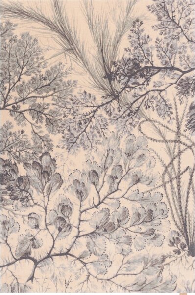 Covor verde mentă/bej din lână 133x190 cm V&A Calisia Kelp – Agnella