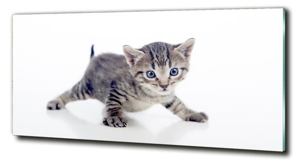 Tablou din Sticlă Pisica mica