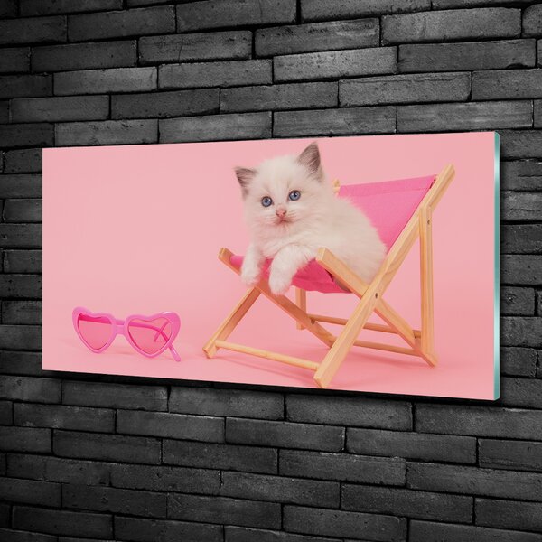 Tablou sticlă Cat pe un șezlong