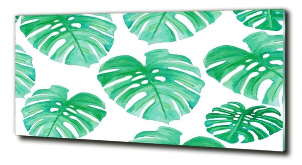 Fotografie imprimată pe sticlă Monstera