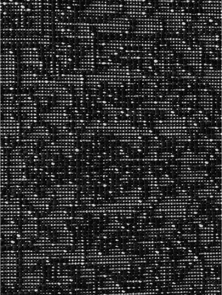 Covor tip traversă pentru interior și exterior alb-negru 80x250 cm Duet Kona – NORTHRUGS