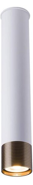 Amplex 8251 - Spot EIDO 1xGU10/10W/230V alb/auriu