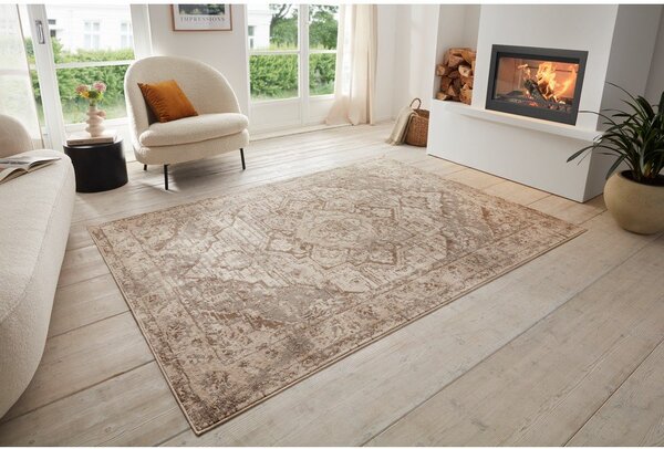 Covor gri/bej 160x235 cm Terrain Designer Sand – Hanse Home