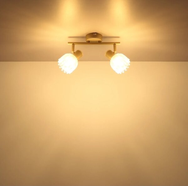 Globo PLANTA 54317-2 - Lampă spot 2xE14/40W/230V