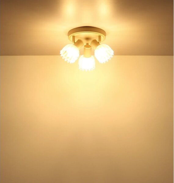 Globo 54317-3 - Lampă spot PLANTA 3xE14/40W/230V