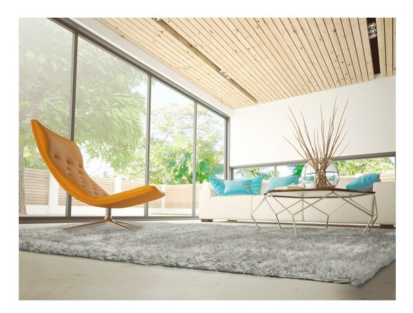 Covor Universal Aloe Liso, 120 x 170 cm, gri