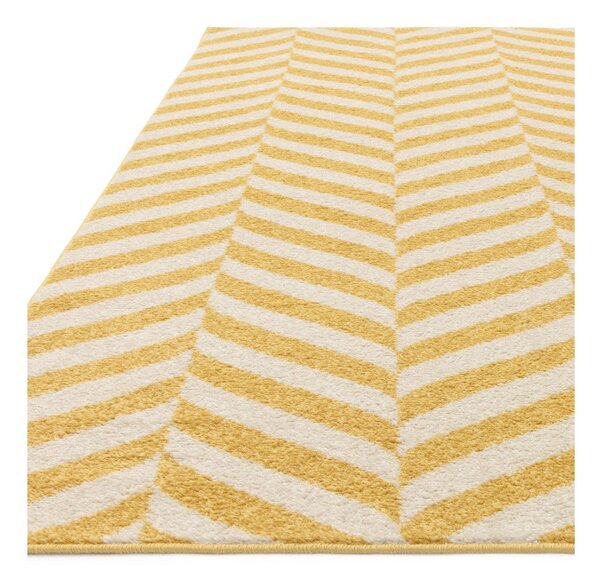 Covor galben 170x120 cm Muse - Asiatic Carpets