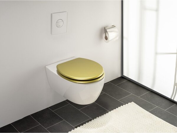 Capac WC 38 x 41 cm Aldeno – Wenko