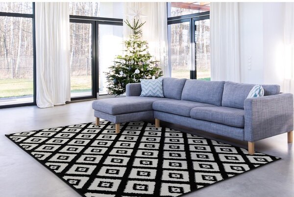 Covor negru-alb 160x220 cm Avanti – FD