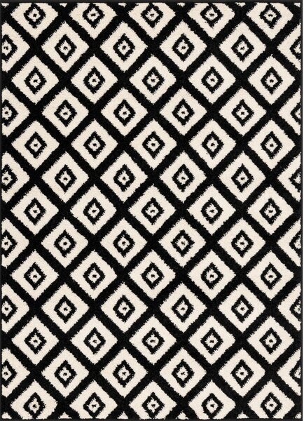 Covor negru-alb 160x220 cm Avanti – FD
