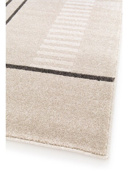 Covor bej 160x230 cm Domus – Universal