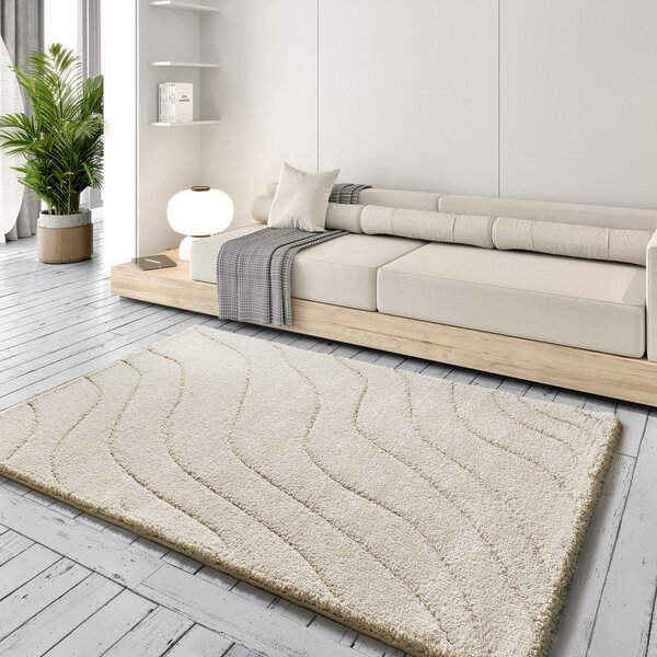 Covor crem 80x150 cm Molier – Universal