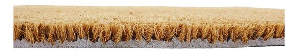 Covoraș de intrare din fibre de nucă de cocos 40x60 cm Paws and Bones – Artsy Doormats