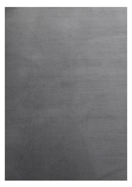 Covor tip traversă gri lavabil 80x250 cm Sky – Ayyildiz Carpets