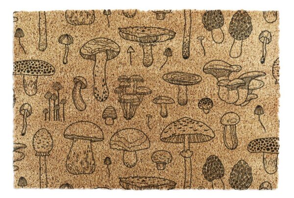 Covoraș de intrare din fibre de nucă de cocos 40x60 cm Mushrooms – Artsy Doormats