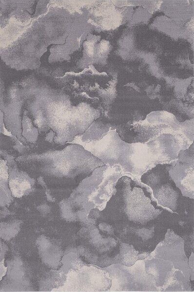 Covor gri din lână 160x240 cm Cirrus – Agnella
