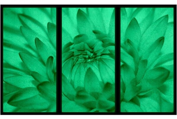 Set tablou 3 piese fosforescent Floarea se deschide