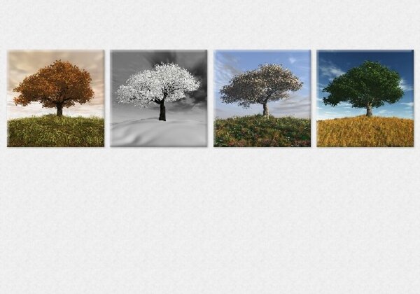Set tablou fosforescent Patru Anotimpuri