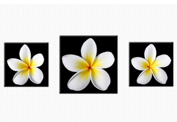 Set tablou fosforescent Plumeria