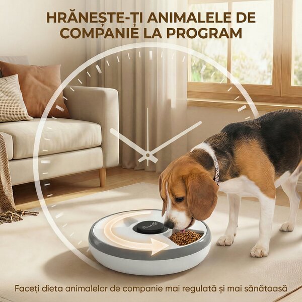 PawHut distribuitor automat cu timer | Aosom Romania