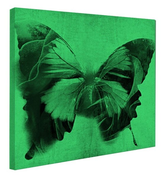 Tablou fosforescent Fluture rosu
