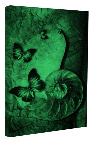Tablou fosforescent Fluturi