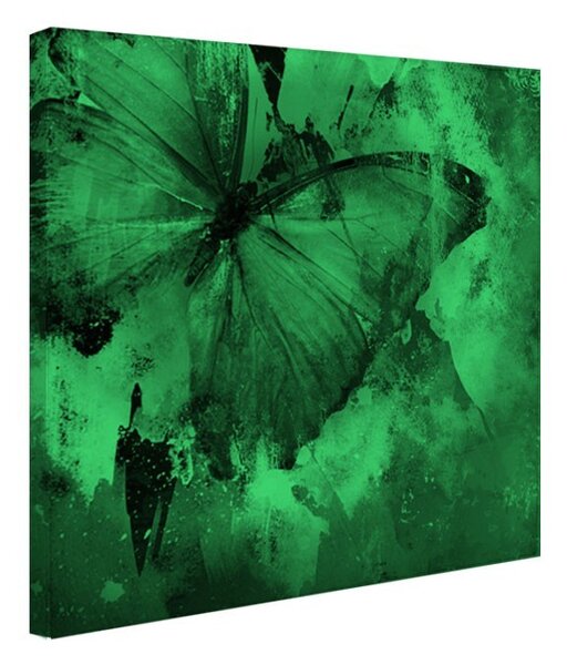 Tablou fosforescent Fluture turqoise