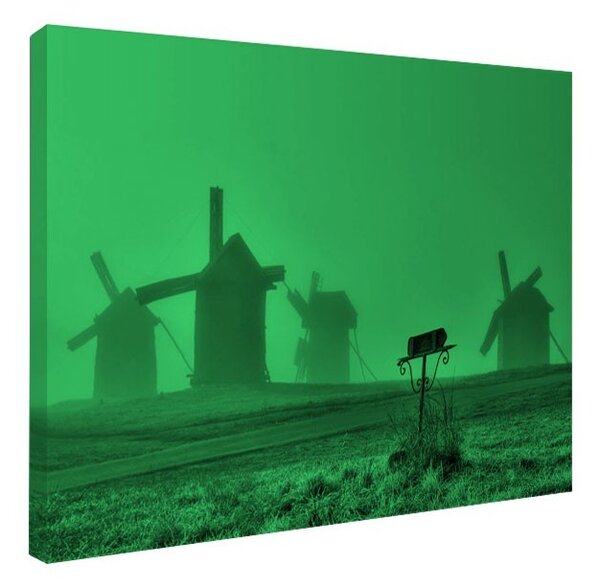 Tablou fosforescent Mori de vant