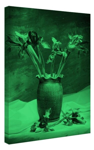 Tablou fosforescent Irisi