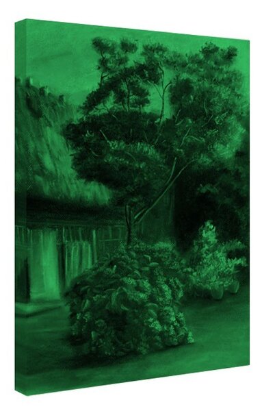 Tablou fosforescent Bulgare de zapada