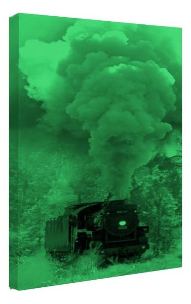 Tablou fosforescent Tren cu aburi