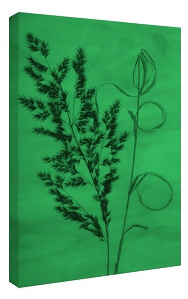 Tablou fosforescent Iarba uscata