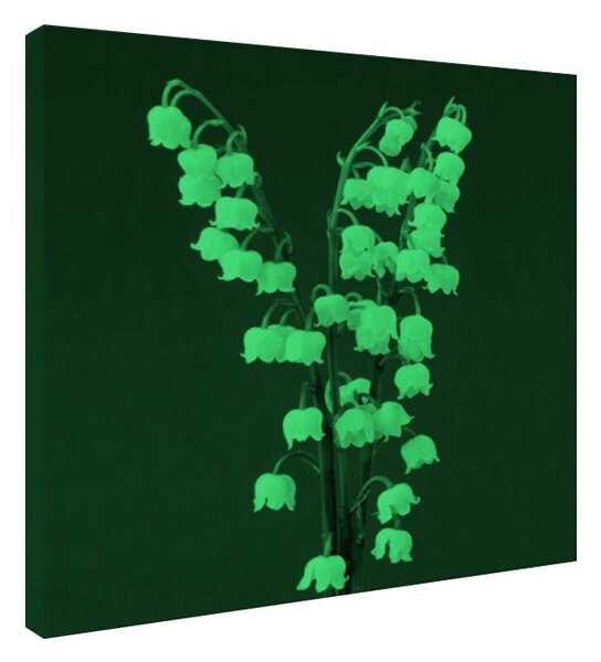 Tablou fosforescent Lacramioare
