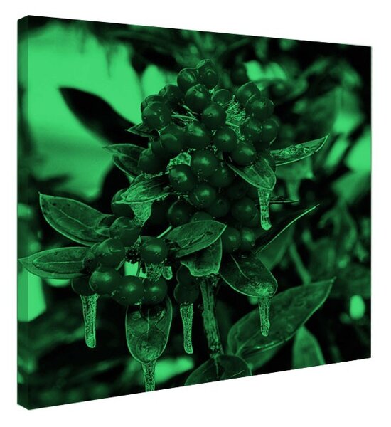 Tablou fosforescent Fructe de Craciun