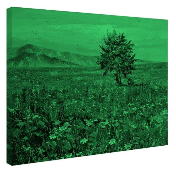Tablou fosforescent Copacul din camp
