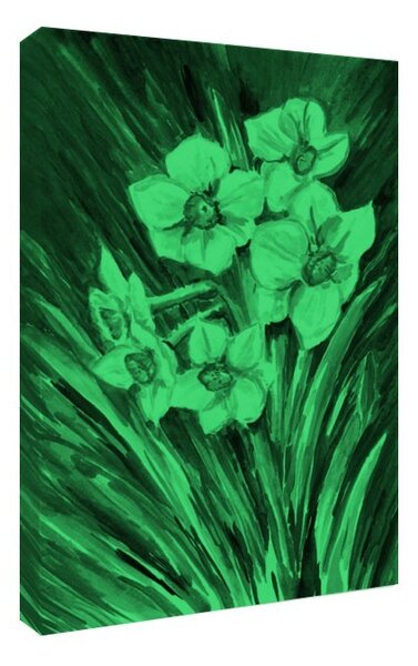Tablou fosforescent Narcise