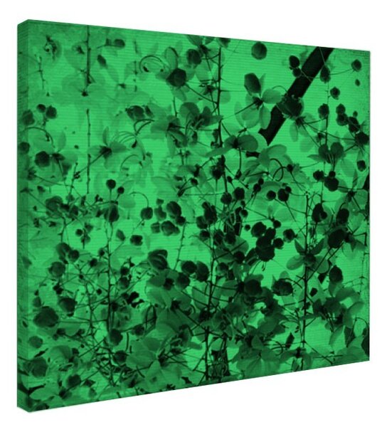 Tablou fosforescent Flori rosii tomnatice