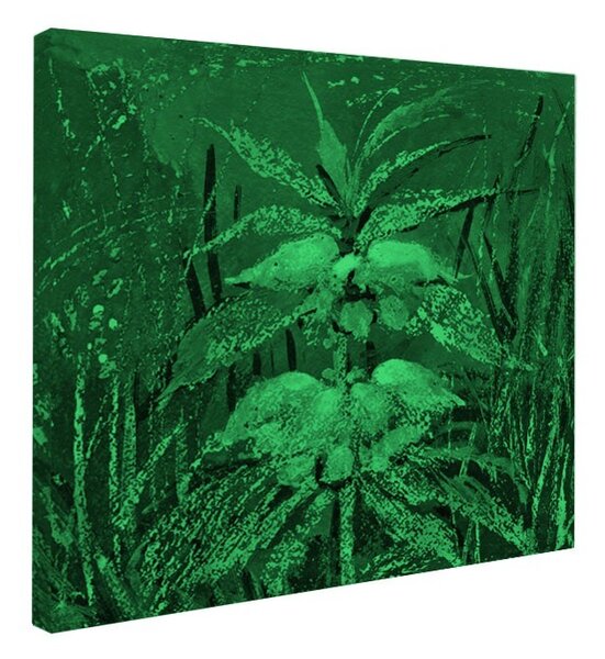 Tablou fosforescent Floare de camp