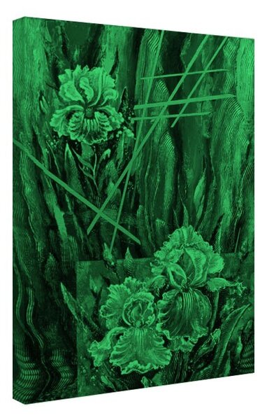 Tablou fosforescent Stanjenei pictati