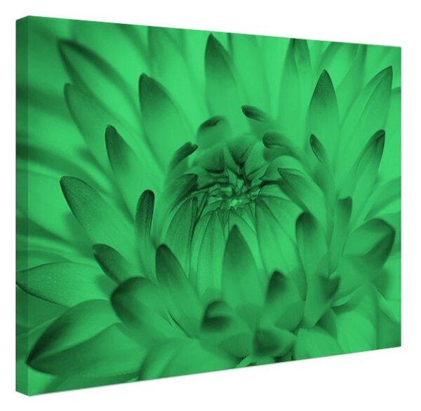 Tablou fosforescent Floarea se deschide