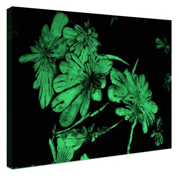 Tablou fosforescent Flori de cristal