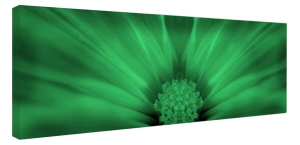 Tablou fosforescent Floare in detaliu