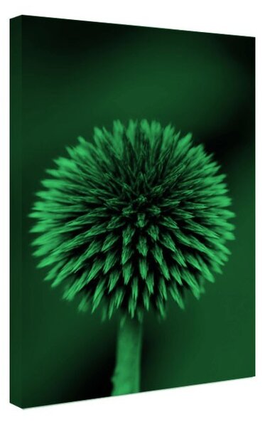 Tablou fosforescent Sfera hipnotic