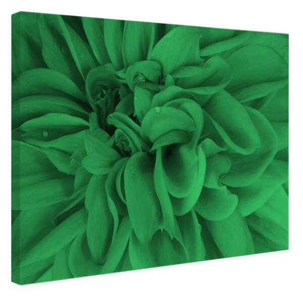 Tablou fosforescent Floare violet in detaliu