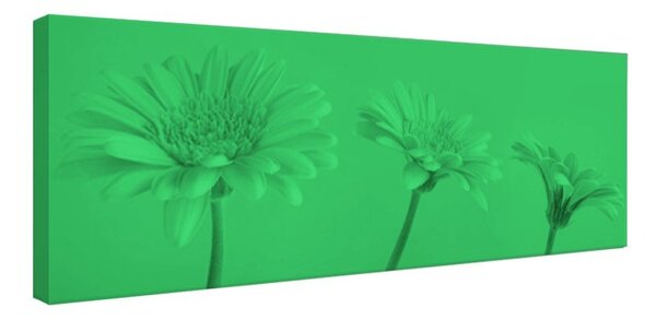 Tablou fosforescent Fundal roz