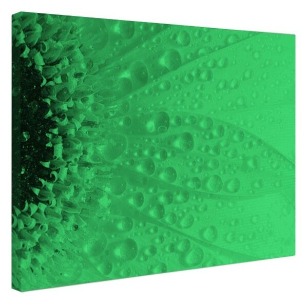 Tablou fosforescent Roua