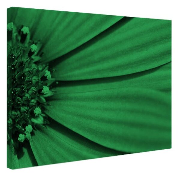 Tablou fosforescent Petale violet