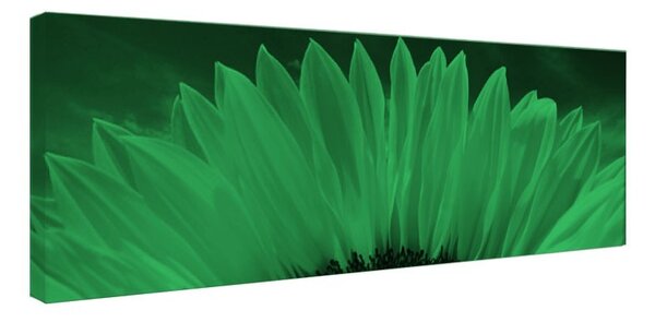 Tablou fosforescent﻿ Floarea soarelui macro