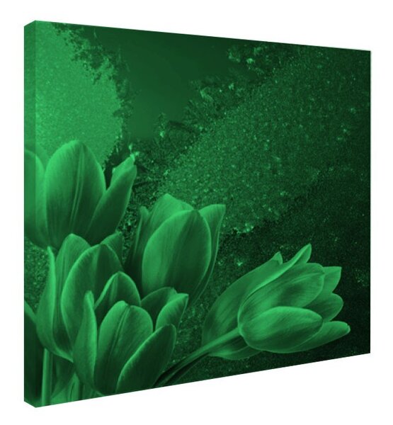 Tablou fosforescent﻿ Flori inghetate