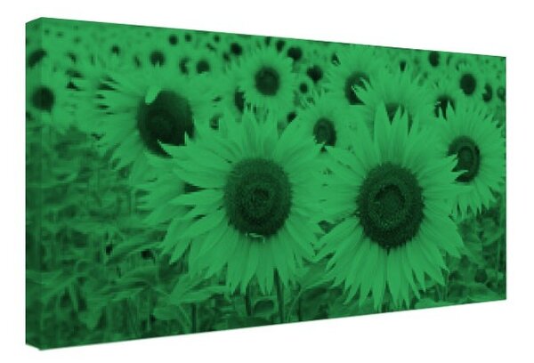 Tablou fosforescent E soare!